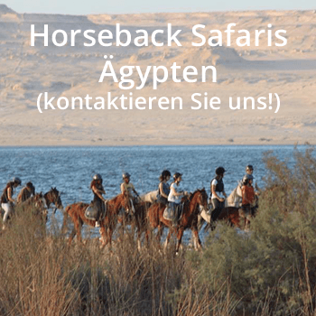 CB_Links__0003_Horseback-Safaris--Ägypten-(kontaktieren-Sie-uns!)